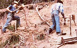 Wholistic foresters decide what action to take depending on the needs of an individual site. Here, two men build contour wattles to help stem erosion damage caused by timbering.